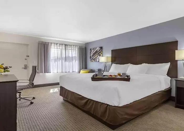 Western Downtown Hotel 3*
