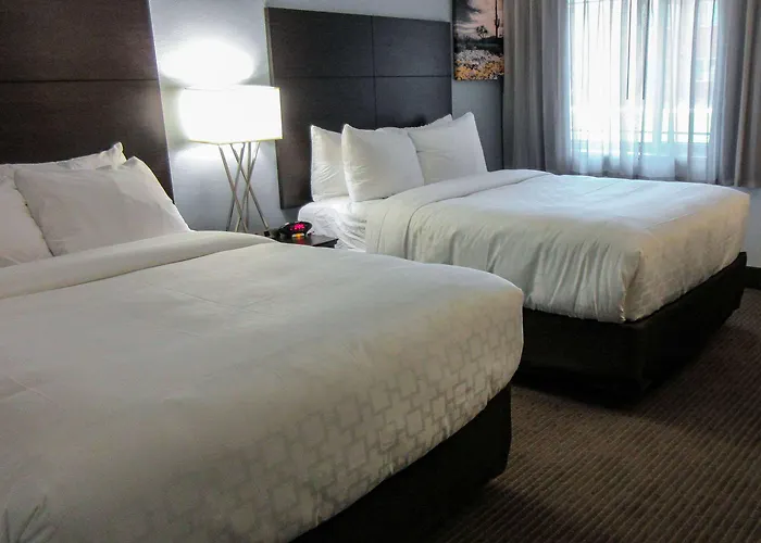 Western Downtown Hotel 3*
